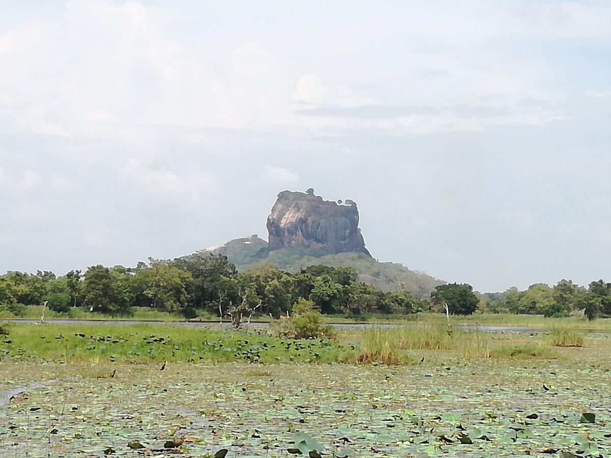 Sigiri Binara Sigiriya